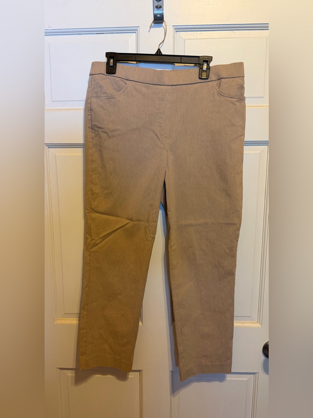 Alfred Dunner Tan Pants 12